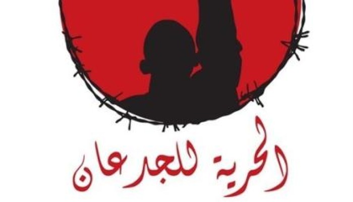 البحيرة: براءة ثمانية من رافضي الانقلاب بالبحيرة من قضايا ملفقة و اختطاف ثلاثة آخرين