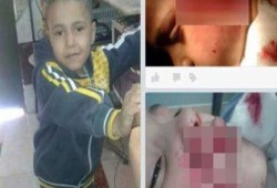 استمراراً للانفلات الأمني .. صاحب كلب الهرم يهرب من النيابة