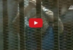 فيديو..صمود الرئيس مرسي "يحرق دم" مذيع التليفزيون المصري