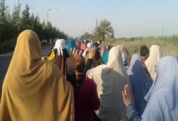 البحيرة: ثوار النوبارية ينتفضون رفضا للمحاكمات الهزلية للرئيس ورفاقة