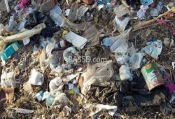 بالصور .. أهالي مركز ببا: مش عارفين نعيش وسط الزبالة