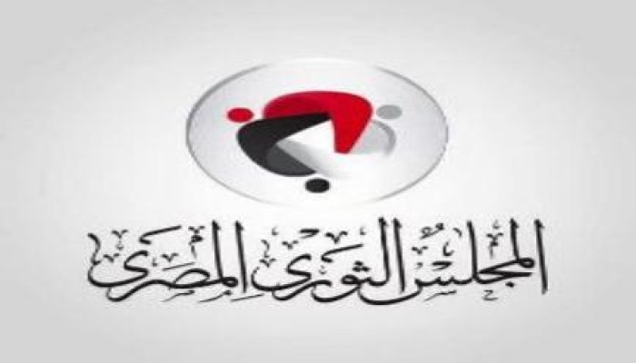 الثوري المصري: المصريون بالخارج أثبتوا ولاءهم لثورة 25 يناير وللشرعية