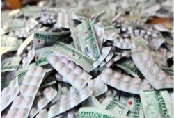 فى عهد السيسي: مصنع ترامادول وتامول فى الصف