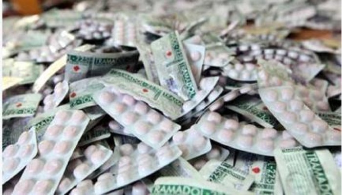 فى عهد السيسي: مصنع ترامادول وتامول فى الصف