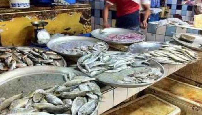 بسبب تخبط سياسات الانقلاب.. ارتفاع أسعار الدواجن 50% والأسماك 15%