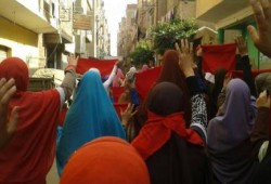 أكثر من ٧٥ فاعلية في أسبوع ثوري حاشد بالمنوفية ‫"‏الصمود طريق النصر"‬