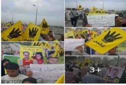ثوار الدقهلية والشرقية والغربية وكفر الشيخ يبدأون فعاليات "الثورة تطارد الانقلاب"