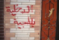 بالصور.. حملة اسبراي مناهضة للانقلاب بالزقازيق