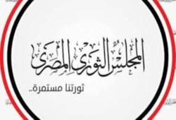 المجلس الثوري: عام من الدمار والخراب والفشل للسيسي.. والصمود للثوار
