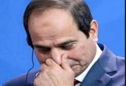 سيف الدولة: أسد علينا وديع مع الخواجات ومجتمعهم الدولى