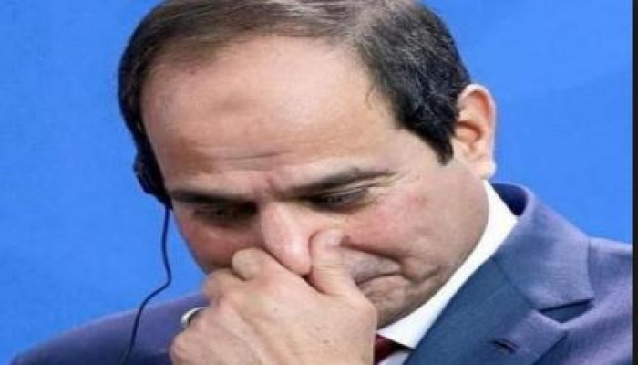 سيف الدولة: أسد علينا وديع مع الخواجات ومجتمعهم الدولى