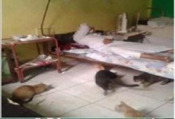 "علشان لو جِه ميتفاجئش".. حملة على "فيسبوك" لفضح القطاع الصحي