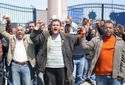 السويس.. وقفة احتجاجية لعمال "سيراميكا" بعد إيقافهم عن العمل تعسفيًّا