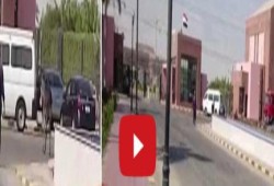 حمار يتجول في مدينة الإنتاج الإعلامي ( فيديو )