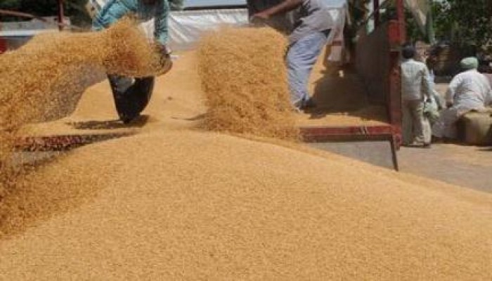 من الفلاحين الى  الخائن السيسى " سنة سوده يا حزين أسود من الطين"