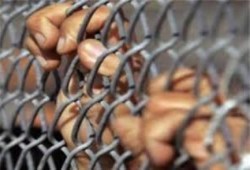 (العربي الإفريقي) يعرض تضحيات عائلة صلاح الدين مدني