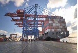 ديلي نيوز": تراجع الصادرات المصرية في مايو الماضي بنسبة 20%