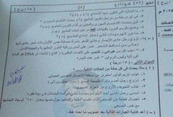 فشل تعليم الانقلاب يستمر :  تسريب امتحان الجغرافيا والتفاضل والأحياء لطلاب الثانوية العامة