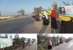 تواصل التظاهرات المؤيدة للرئيس مرسي بفاقوس