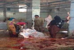 "الصناعة": مجازر مصر قذرة ولا تصلح للذبح الحلال