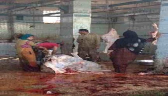 "الصناعة": مجازر مصر قذرة ولا تصلح للذبح الحلال