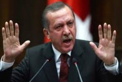 أردوغان ينتقد رضوخ ألمانيا لطلب الانقلابيين باعتقال "منصور"