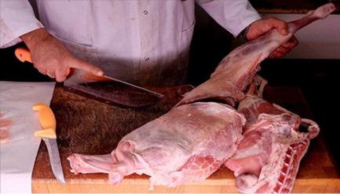 الانقلاب يعترف: الذبح في مصر غير موافق للشرع.. ولا يوجد في بلادنا لحم حلال