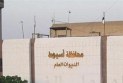 إضراب العاملين بمركز الحروق في أسيوط بسبب سوء المعاملة