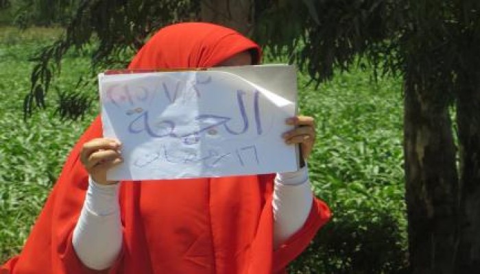 بالصور .. الغربية : ثوار السنطة ينتفضون فى الذكرى الثانية للانقلاب العسكرى