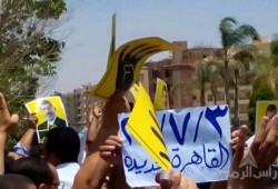 بالصور .. ثوار التجمع ينظمون مسيرة حاشدة في الذكرى الثانية للانقلاب