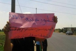 بالصور .. الغربية : ثوار قطور ينظمون فاعلية في الذكرى الثانية للانقلاب