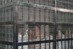 السجن 10 سنوات لـ23 متهمًا وغرامة ربع مليون جنيه في أحداث مدينة الإنتاج