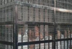 السجن 10 سنوات لـ23 متهمًا وغرامة ربع مليون جنيه في أحداث مدينة الإنتاج