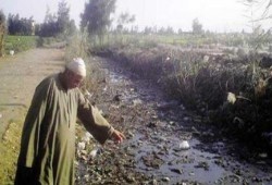 أهالي قرية "معزور" بكفر الشيخ يستغيثون من إهمال مسؤولي الانقلاب