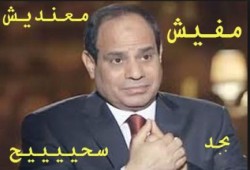 التضامن الانقلابية تنفي صرف 250 جنيها كإعانة بطالة للشباب