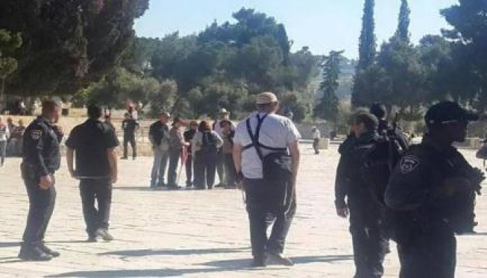 مستوطنون صهاينة يقتحمون المسجد الأقصى