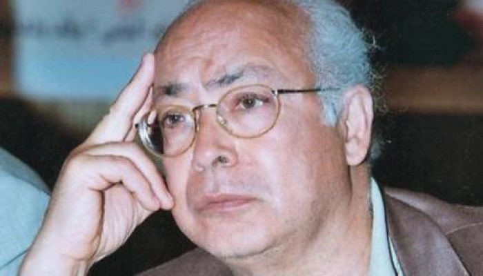 فرجاني: عملاء الحكم العسكري يدفعون المعارضة باتجاه العنف