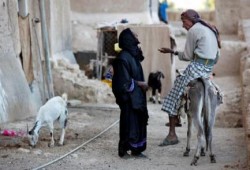 بدء هدنة إنسانية باليمن الجمعة تحت رعاية الأمم المتحدة