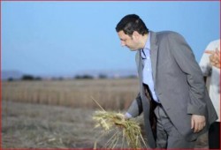 حكومة الانقلاب تحارب الاكتفاء الذاتي وتغرق في استيراد القمح