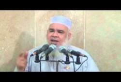 أمن الانقلاب يعتقل الشيخ القعيد "سيد العربي"