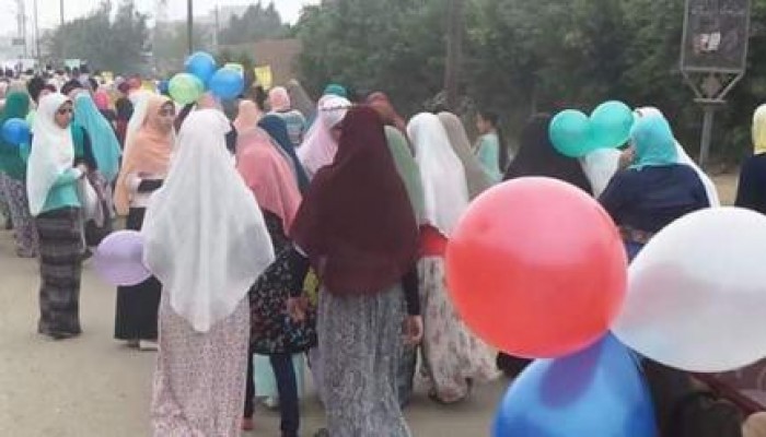 ثوار البحير والغربية وكفر الشيخ ينتفضون فى جمعة "عيدكم ثورة"