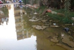 بالصور: طفح الصرف الصحي يفسد فرحة العيد بمنطقة العقاد بأسوان