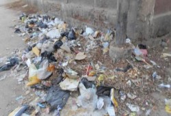 بالصور .. القمامة تحاصر شوارع أسيوط .. والأهالي: "هنموت من الريحه"