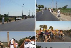 أكثر من 45 فعالية بـ الدقهلية‬ في جمعة "لبيك يا أقصى"