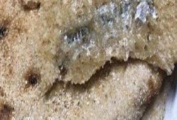 فى عهد السيسي: شفرة حلاقة داخل رغيف خبز