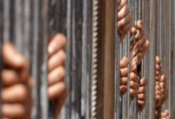 تعذيب معتقلي مركز "ميت غمر" تحت إشراف المأمور المجرم "وسيم شرف"