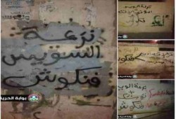 حملة "جرافيتي" ساخرة من فنكوش تفريعة السيسي بدمياط