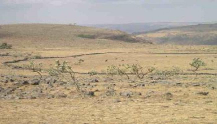 10 كوارث تنتظر المصريين بعد خفض ميزانية الزراعة