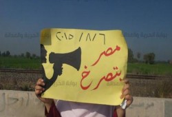 فعاليات ثورية متنوعة مناهضة للانقلاب بالشرقية