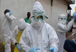 الوادى الجديد.. ظهور أول إصابة بـ «الملاريا» قادمة من السودان